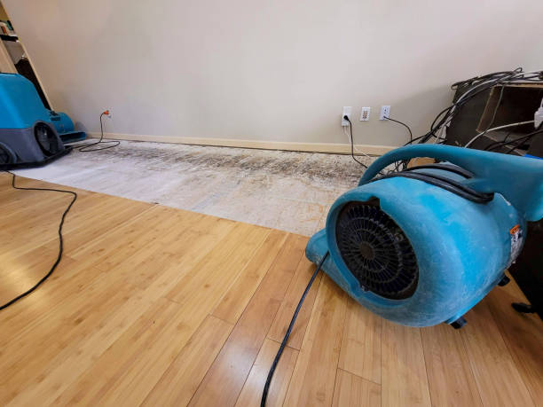 Professional Water Extraction technician working in Presho, SD